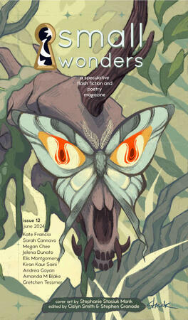 Small Wonders Issue 12 Small Wonders Issue 12